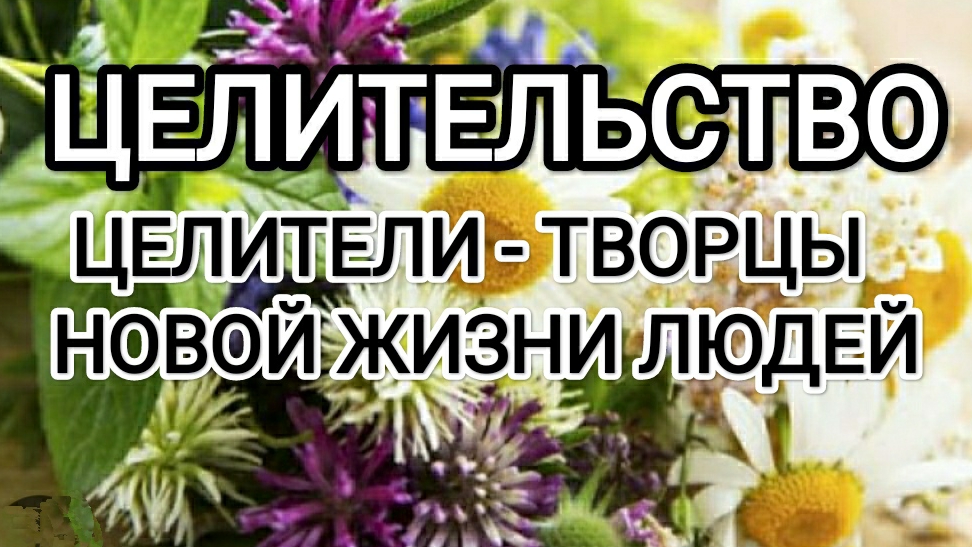 Целители, как творцы новой жизни людей! #архангелрафаил