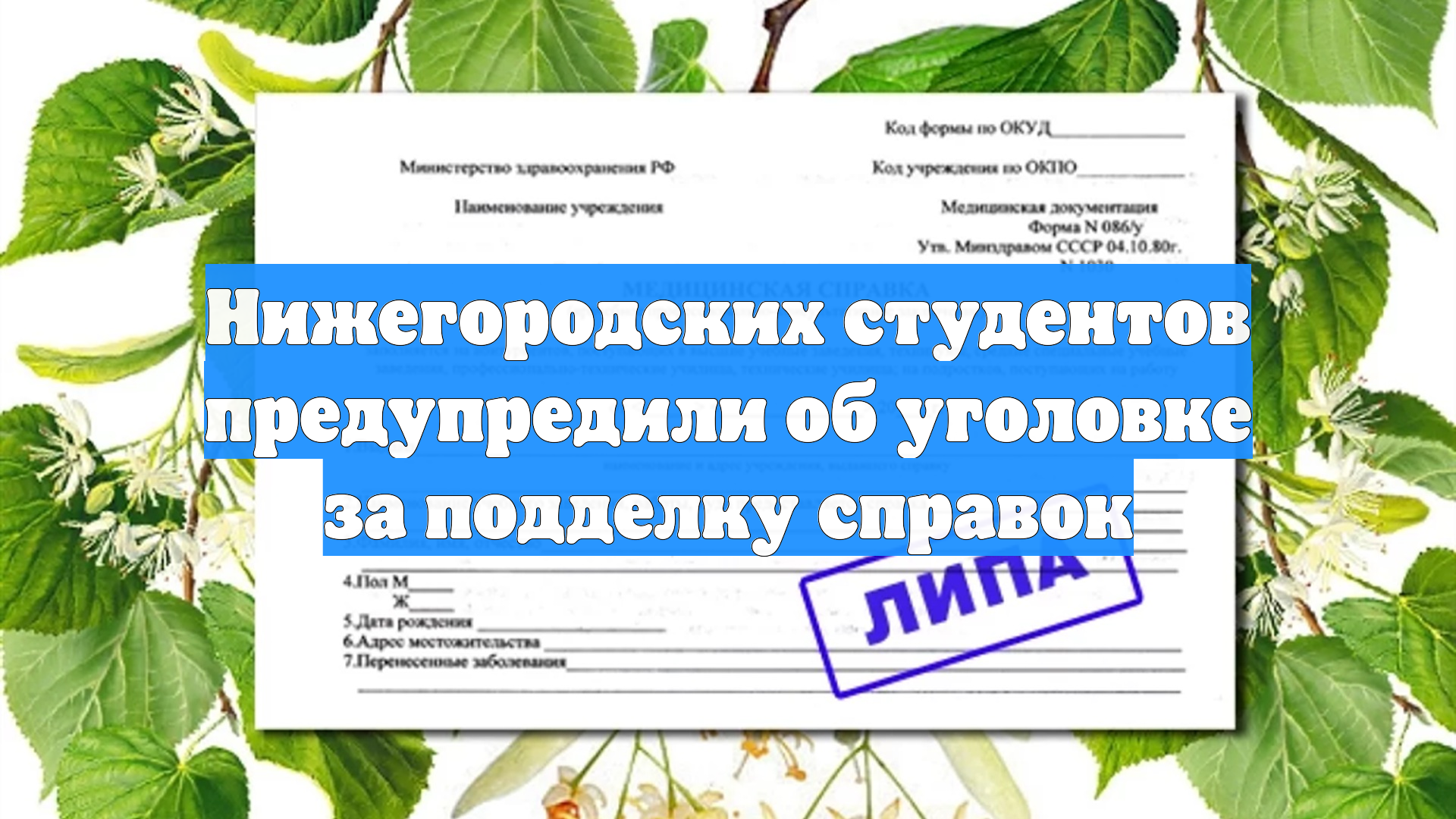 Нижегородских студентов предупредили об уголовке за подделку справок