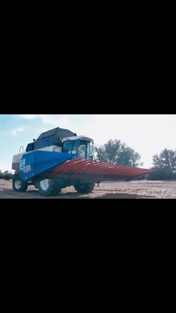 Безрядковая жатка для уборки подсолнечника HARVESTER SN8400 на комбайне Acros