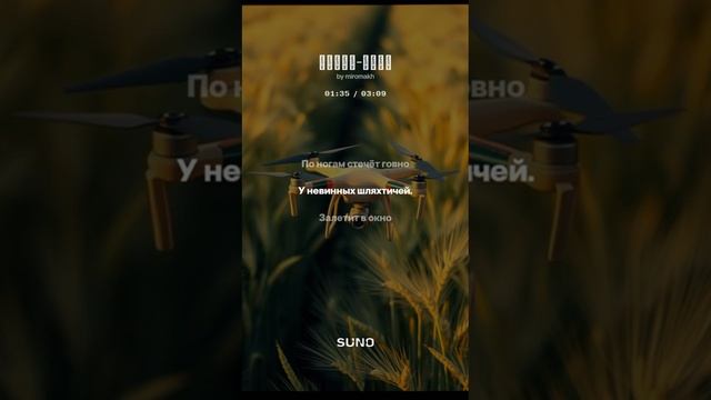 Про дрон и поляков