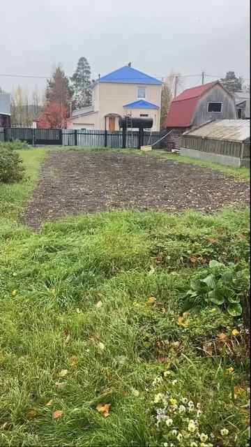 Первый снег 25.09.2035