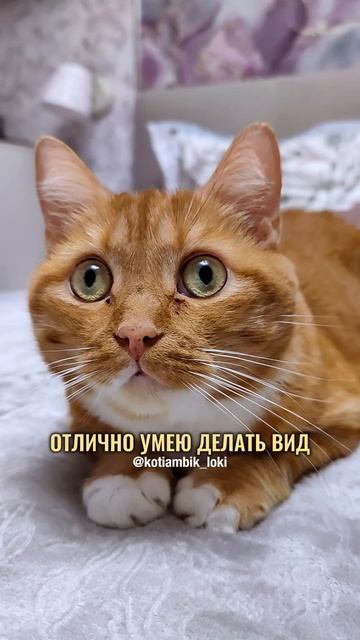 Настоящий талант😂
