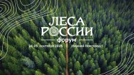 Доклад главы Рослесхоза на Всероссийском форуме "Леса России"