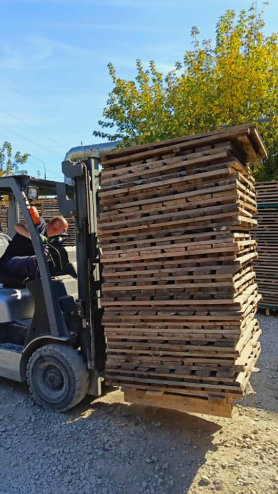 Вот так МЫ работаем! 💪 Отгружаем леса для новых побед! 🏗