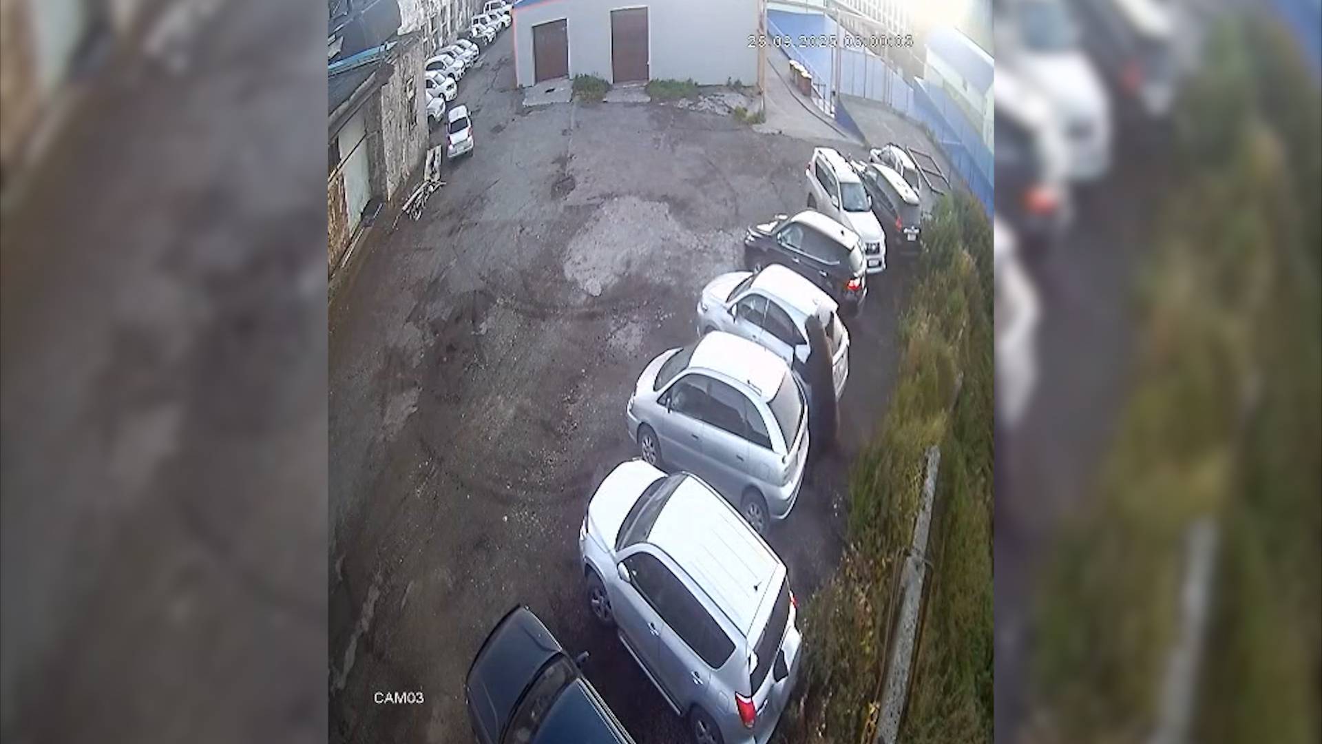 МЕДВЕДЬ УБИЛ ЖЕНЩИНУ | Новости Камчатки | Масс Медиа