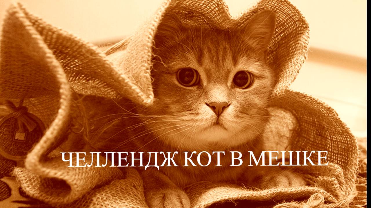 Челлендж Кот в мешке возвращается Сентябрь 2025