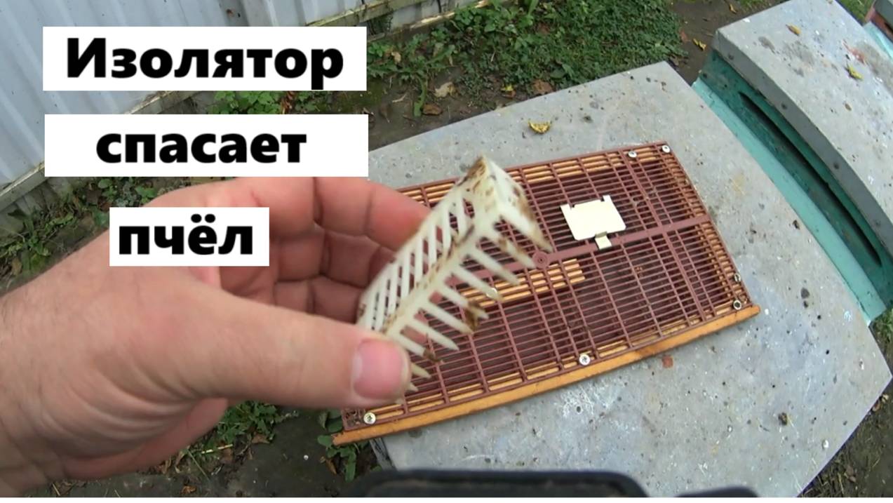Переход на пчеловодство с изоляторами