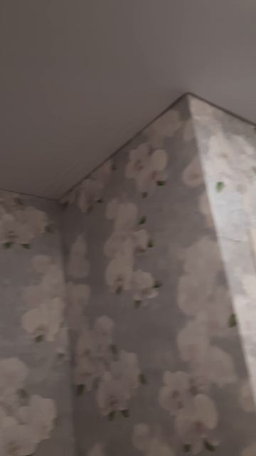 1000021142.mp4