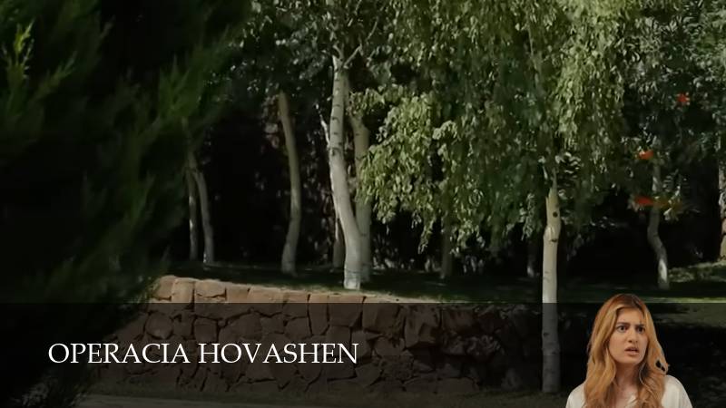 Operacia Hovashen сериал