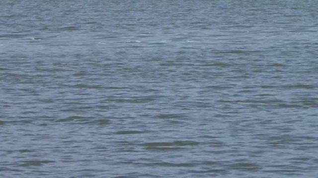 Рыбалка -16. Лето 2025 Усть - Абакан