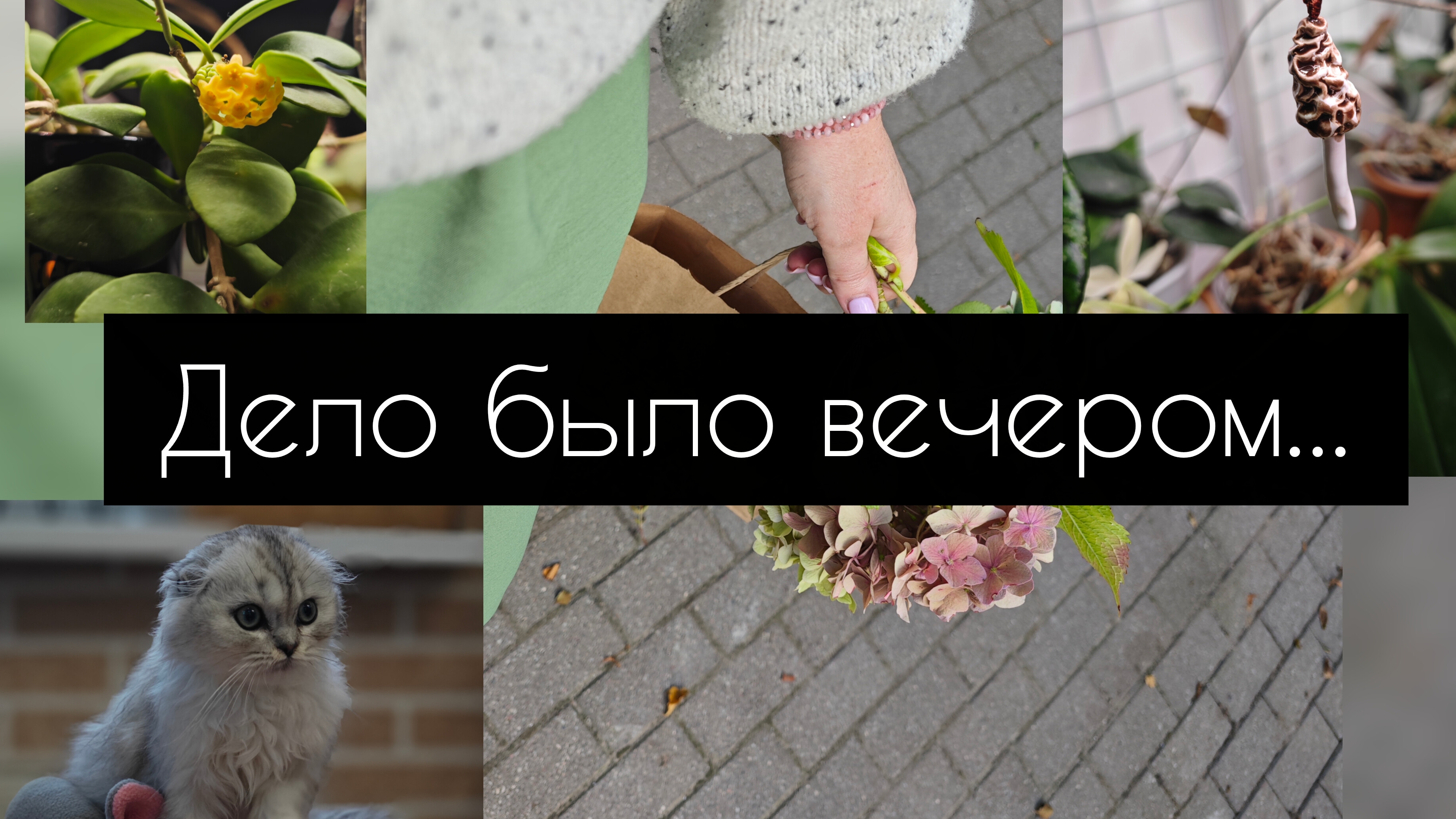 дело было вечером...