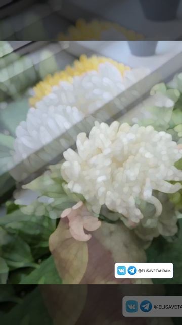 Храмовая флористика