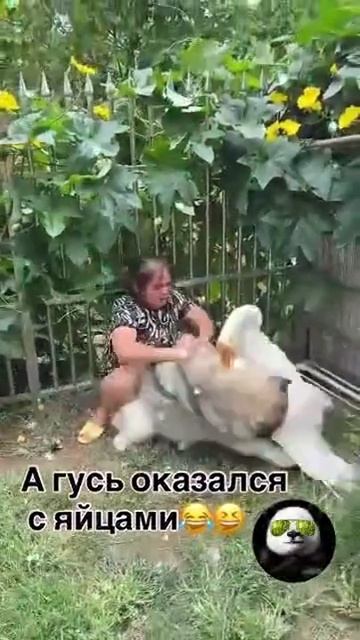 1000071923.mp4