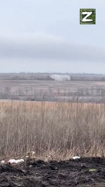 СВО
