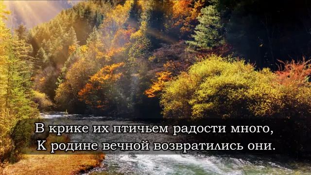 Где ты прекрасная  христианская песня