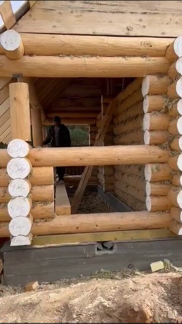 video_2025-09-25_01-42-16