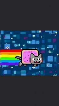 Nyan cat