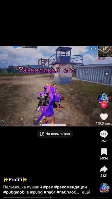 VID-20250526-WA0023.mp4