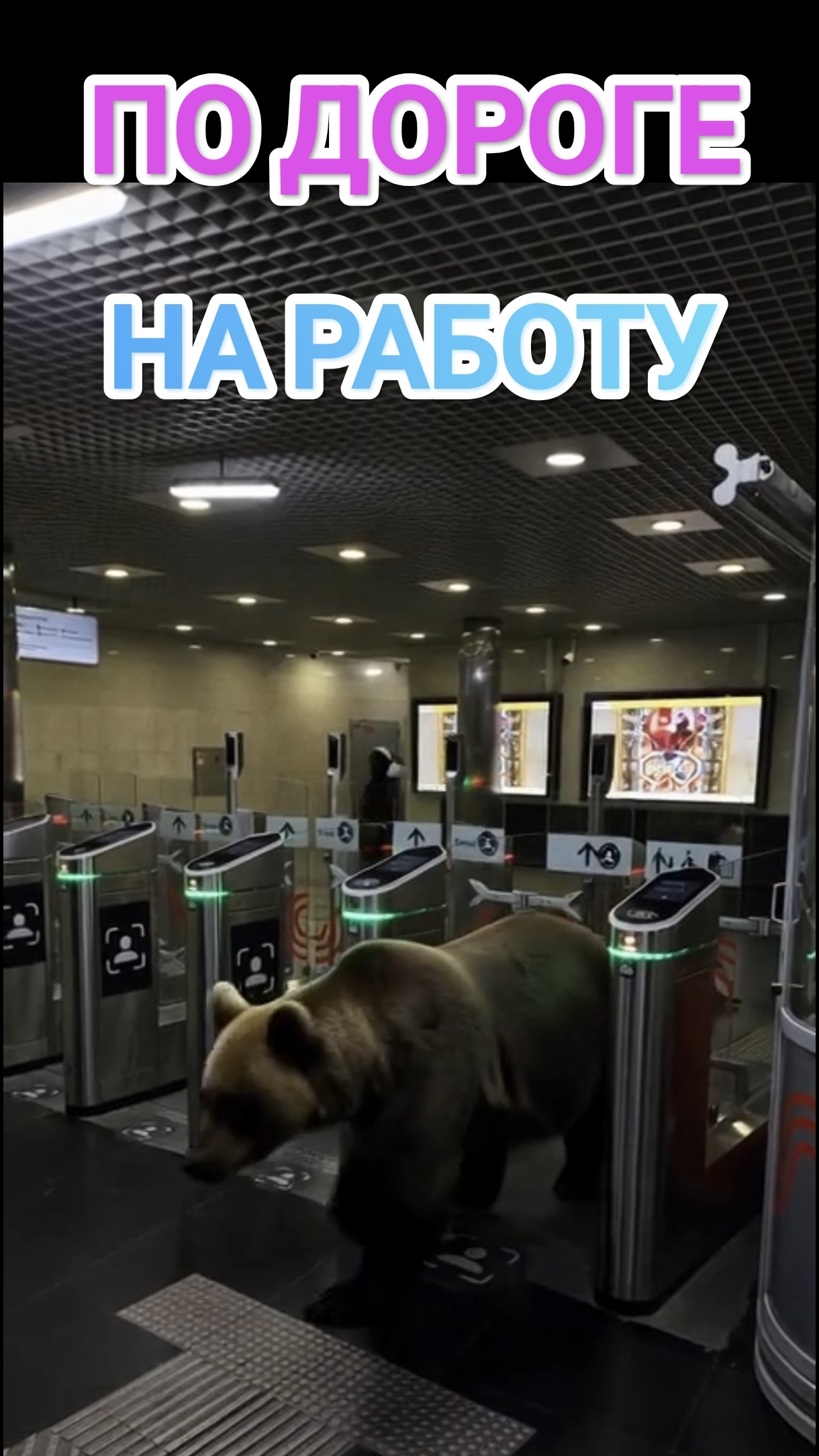 По дороге на работу. Удивительные встречи.