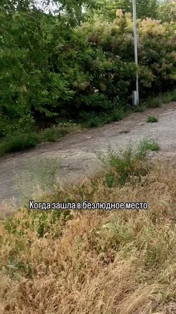 чипсы