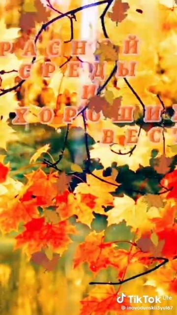 Доброе утро