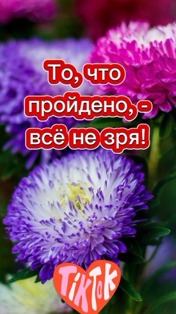 Доброе утро . ВидеоОткрытка