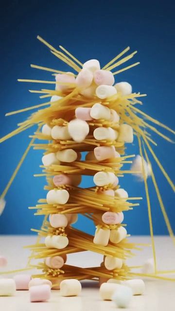 Spaghetti