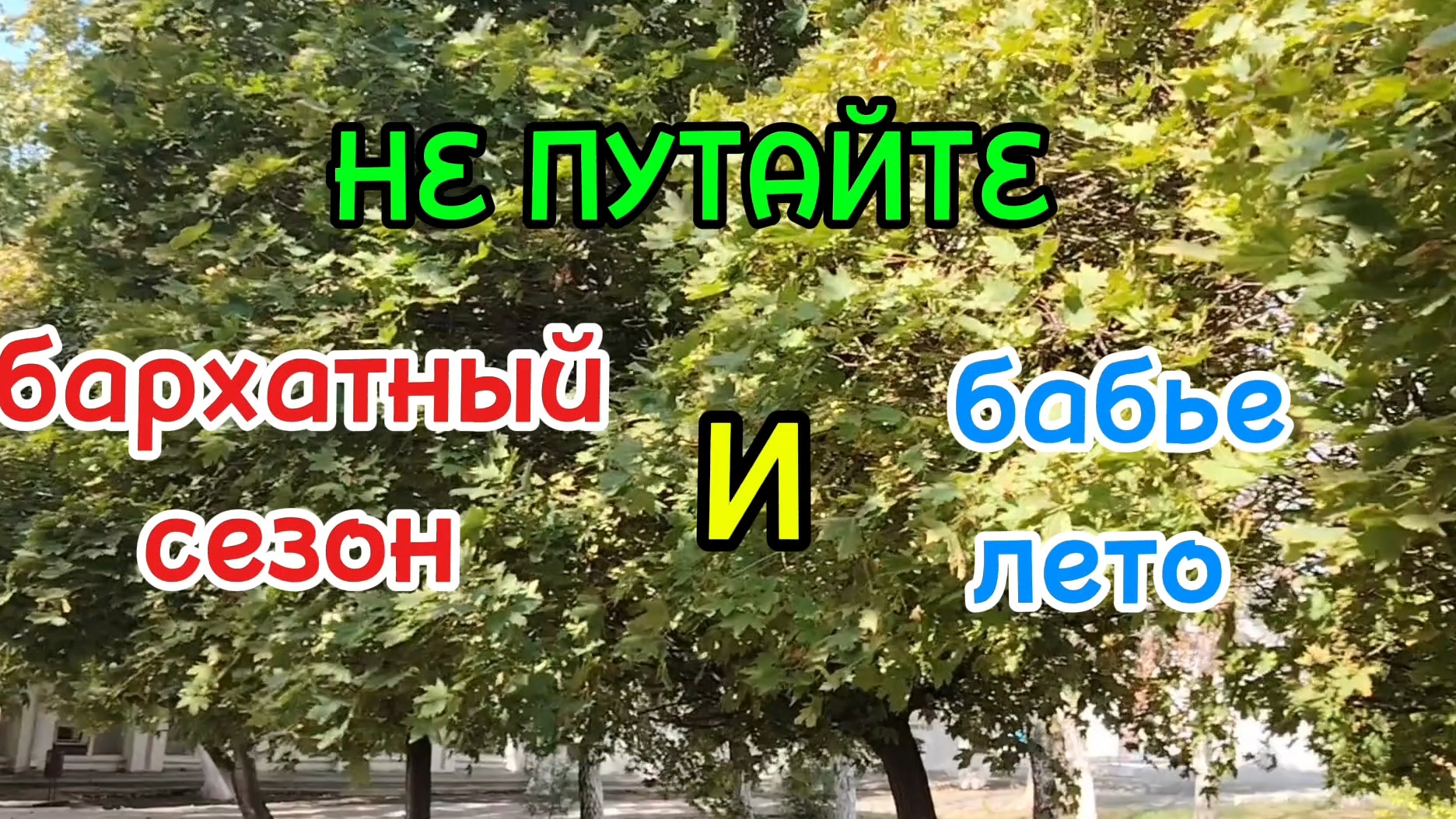 Ейск ! За два дня документы сдала ! Бархотный сезон и бабье лето - это одно и тоже? Про комментарии.