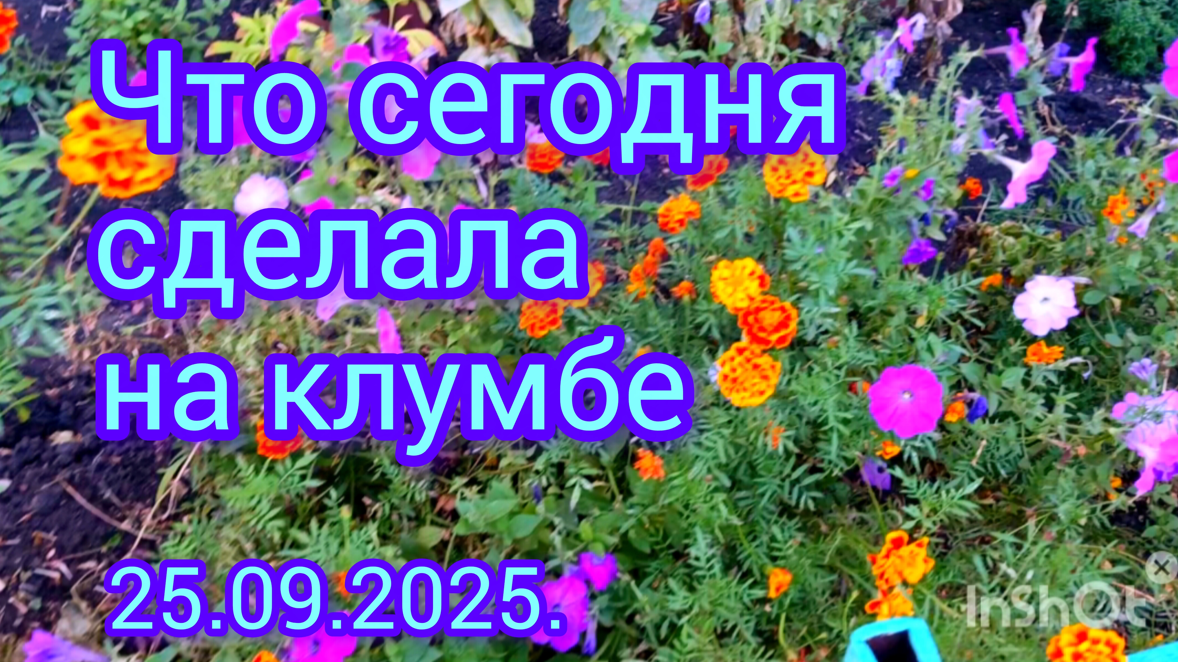 Осенняя🌺клумба