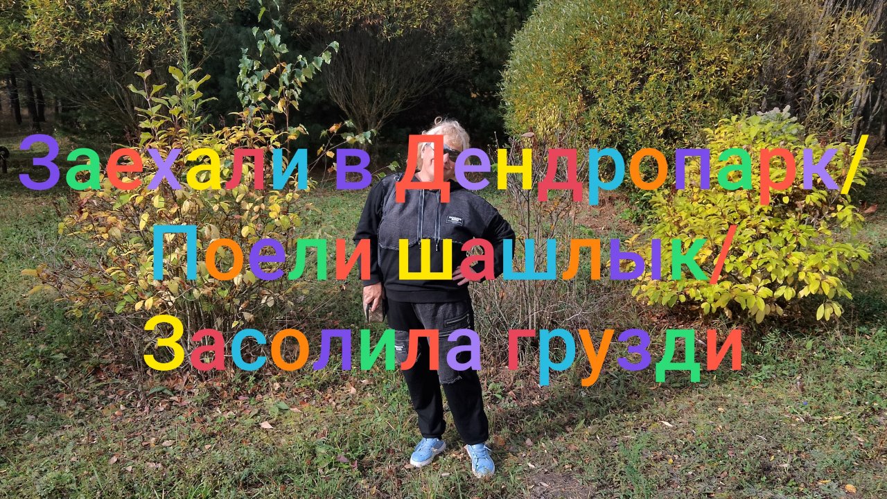 Заехали в Дендропарк/ Поели шашлык/ Засолила грузди