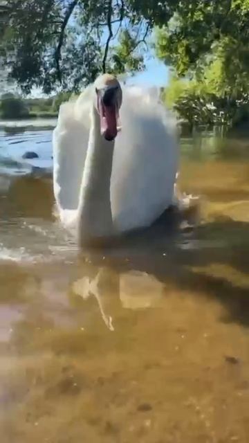 По дате рождения