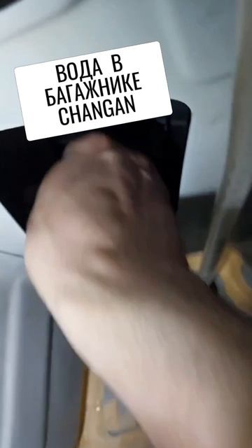 Вода в багажнике чанган #changan