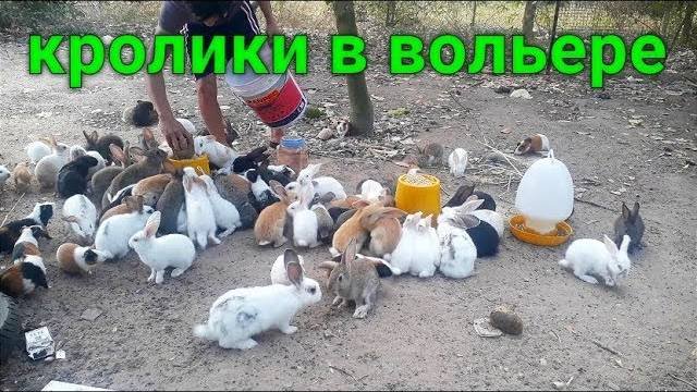 Всё-таки мы решились