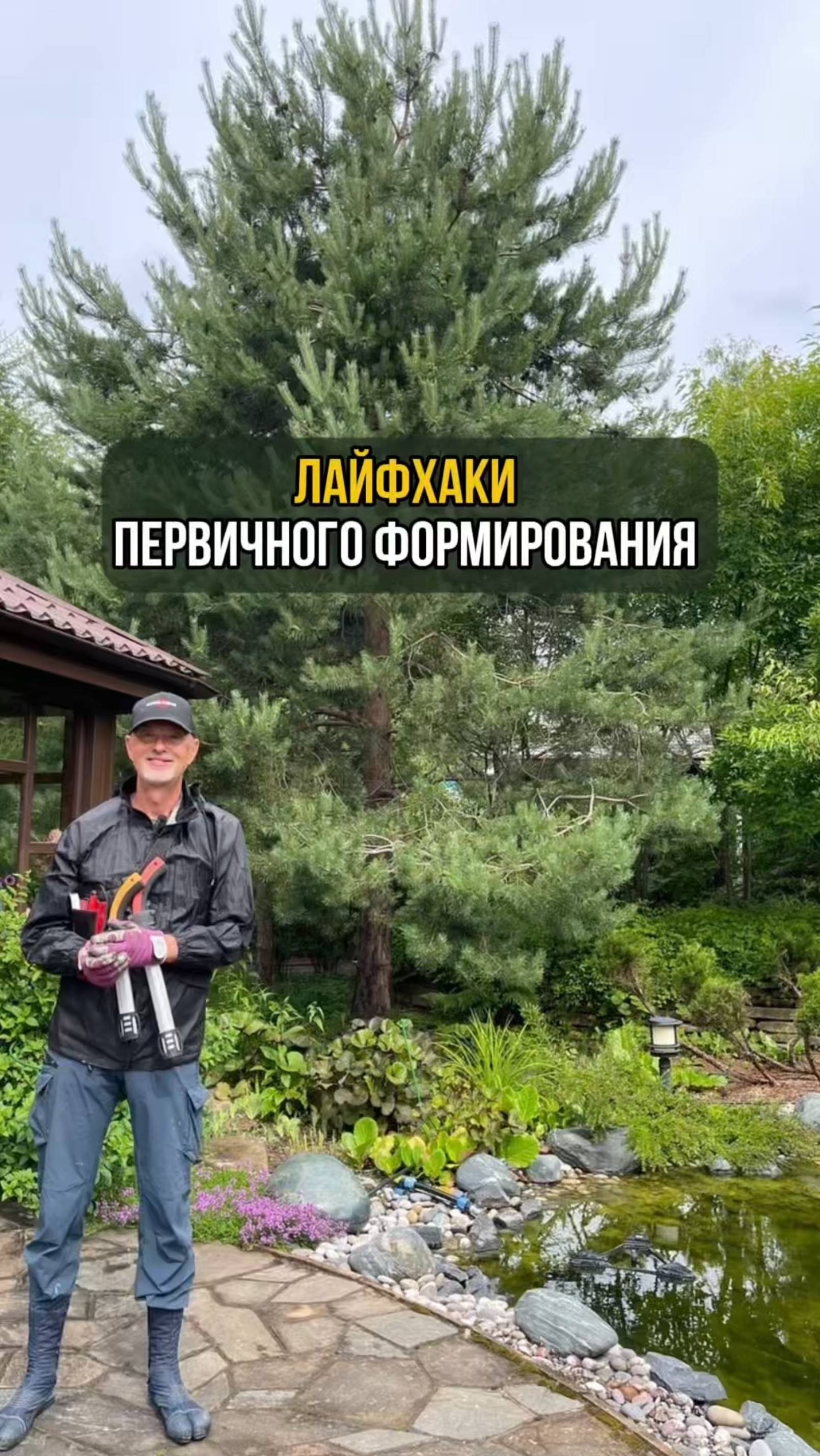 Лайфхаки первичного формирования дерева