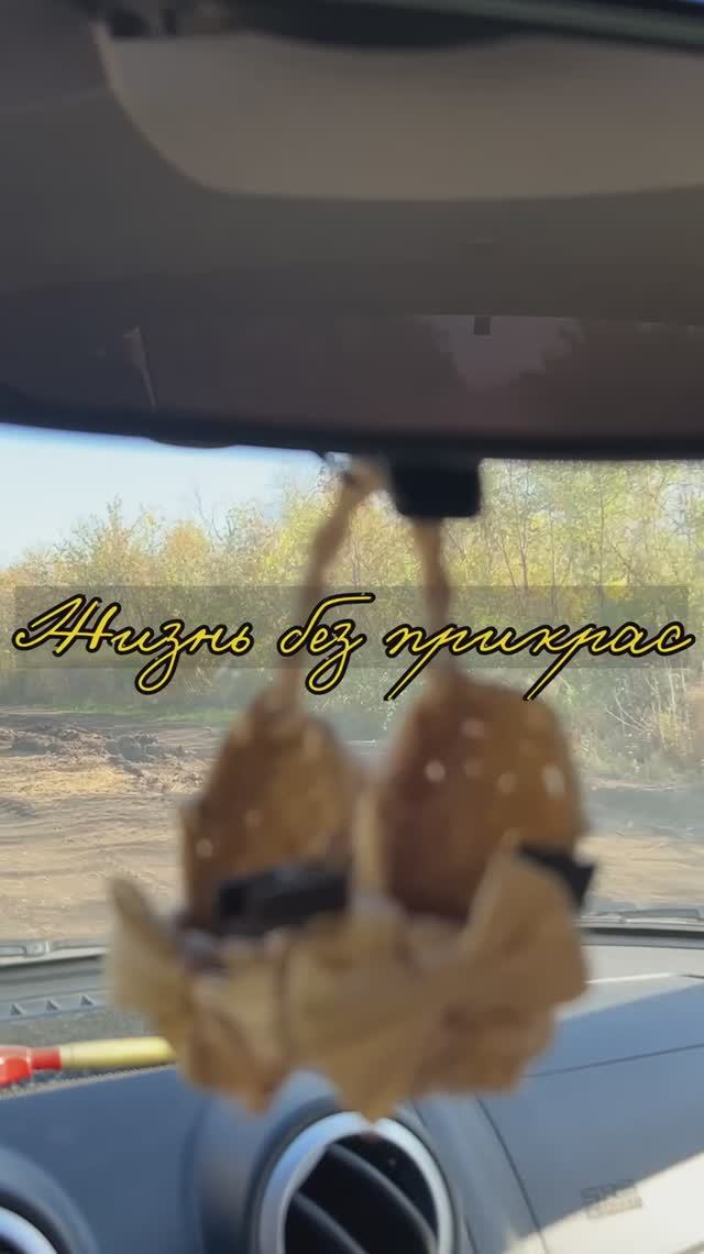 Жизнь без прикрас