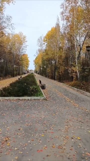 1000242959.mp4