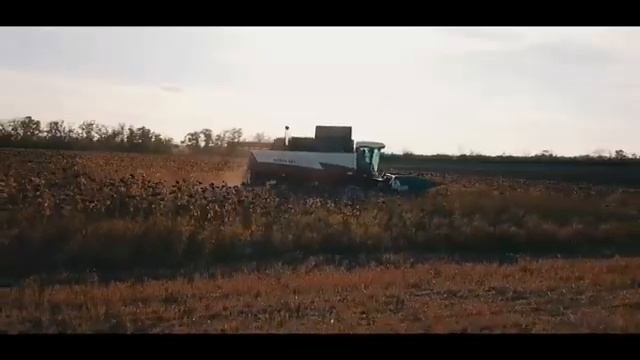 Уборка подсолнечника жаткой Harvester от Энергон Агро