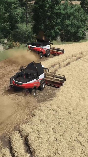 FS25, RSM161, Торум 770