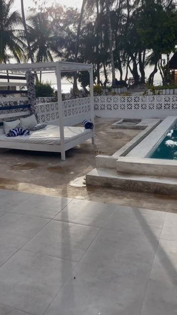 отельный кот-будильник.
Занзибар.
#занзибар #танзания #африка #orientbeach #orientbeachhotel #индийс