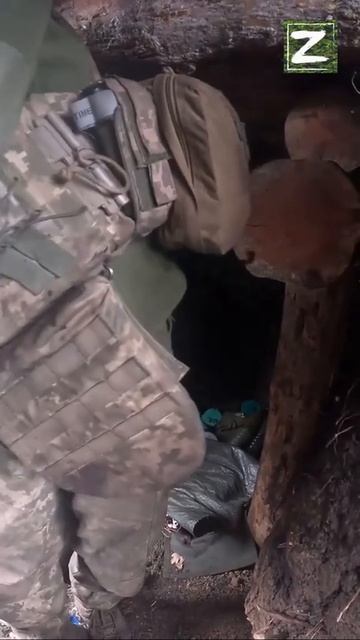 СВО