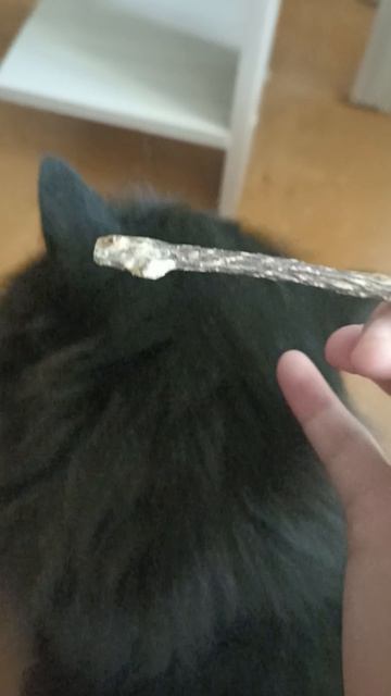 Палочка с кошачьей мятой
