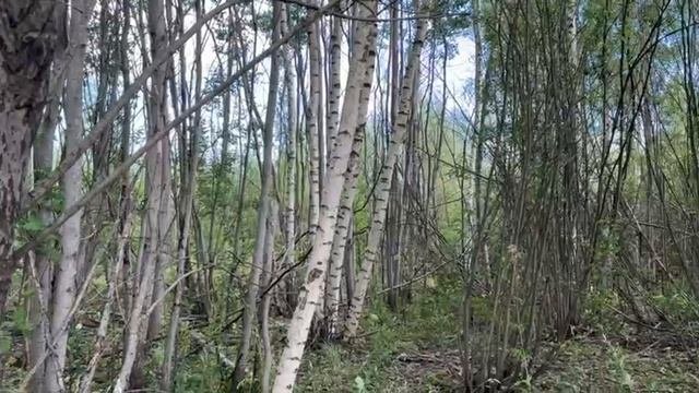 Гостилово, Садовая