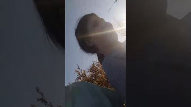опоата