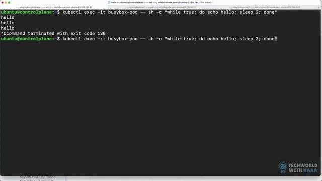 6. Troubleshoot Cluster