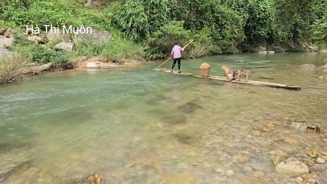 90-day Video Of A Vietnamese Girl Fishing For A Living With Two Smart Dogs. Ha Thi Muon