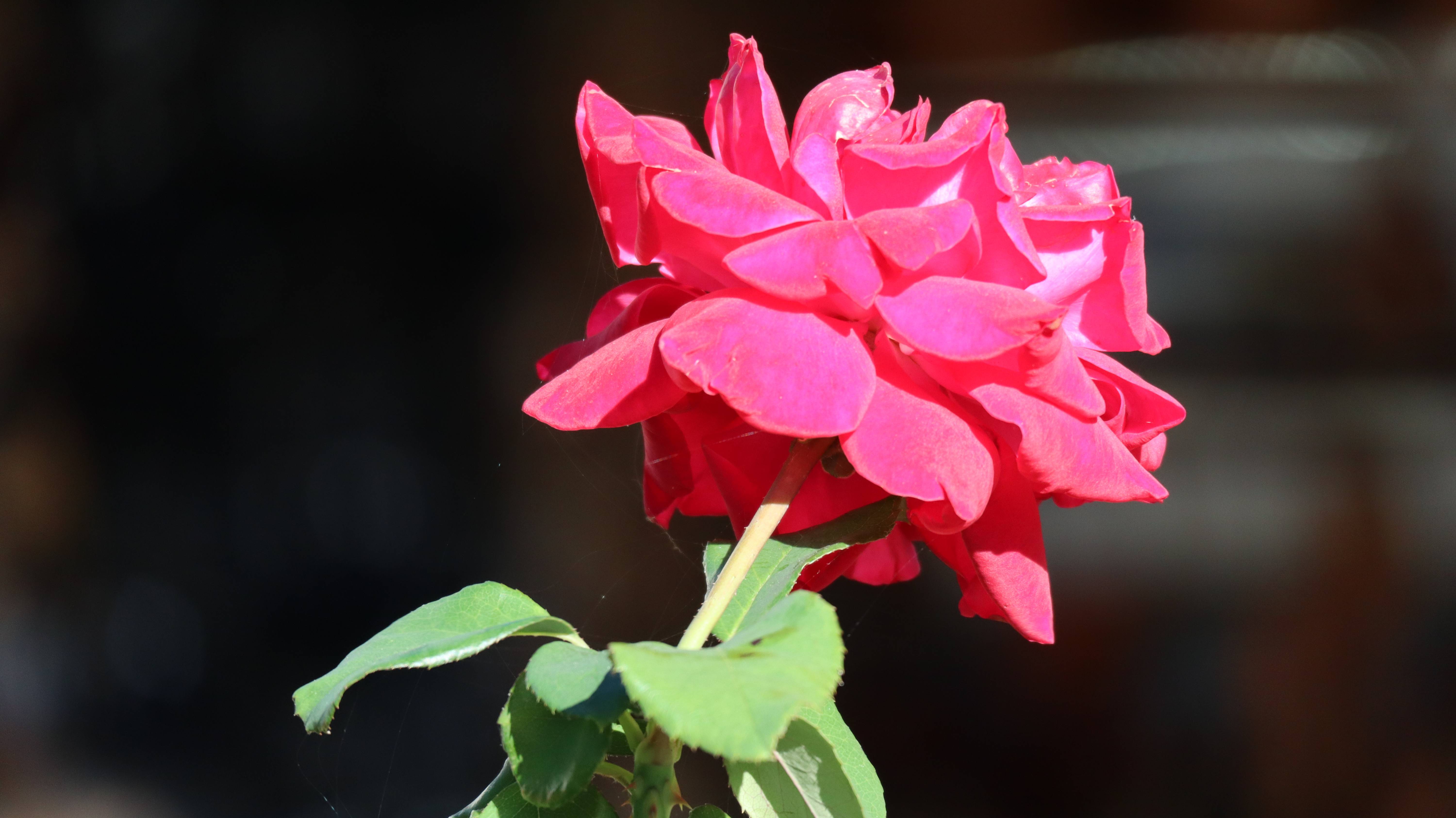 24 СЕНТЯБРЯ. АРХИПО-ОСИПОВКА. МОРЕ, ПЛЯЖ, ЗАКАТ.