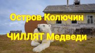 Остров Колючин - белые медведи «чиллят»