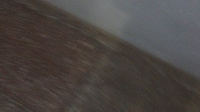 Теорема ЖКХ_Подъезд_2025.09.25_14-55