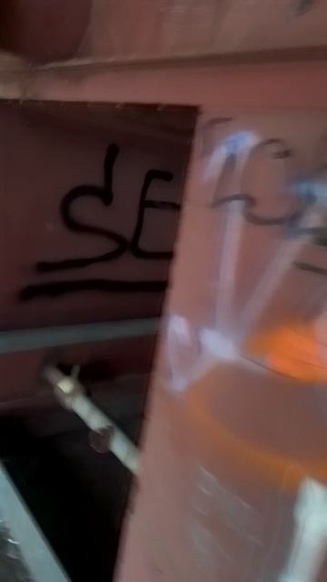 VID_20250822_133017.mp4