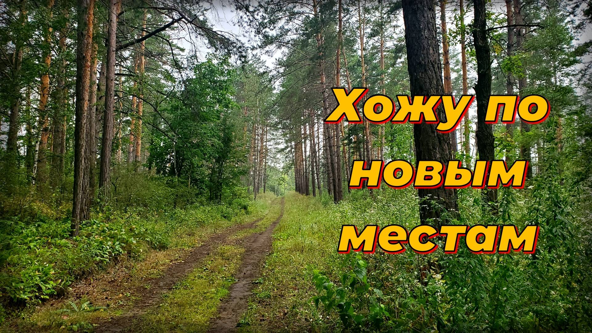 Skycruiser S63. Хожу по лесу, ищу монеты.